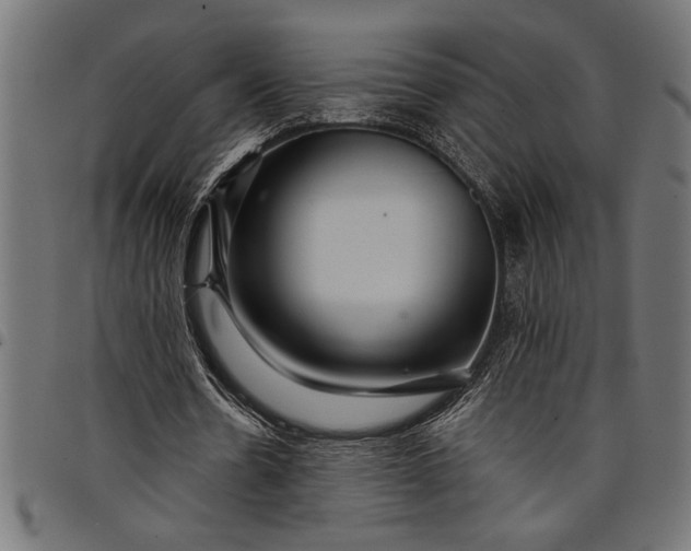 X0000097870530200803281203