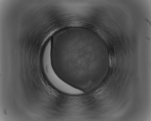 X0000097870531200803281203