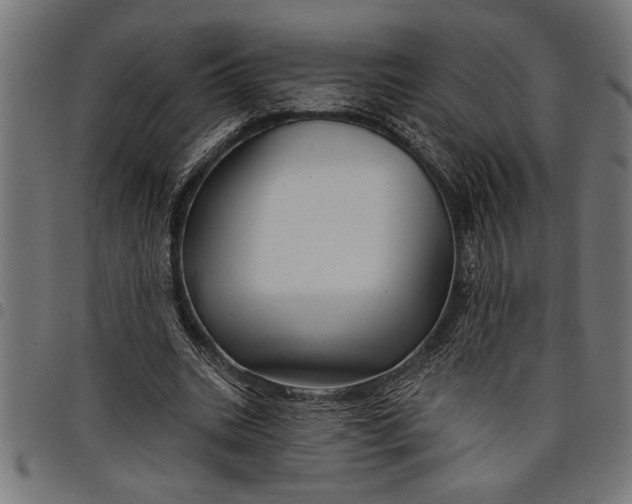 X0000097870535200803281203
