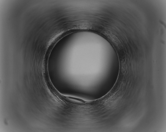 X0000097870536200803281203