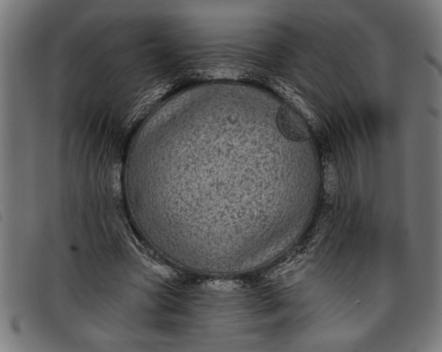 X0000097870537200803281203