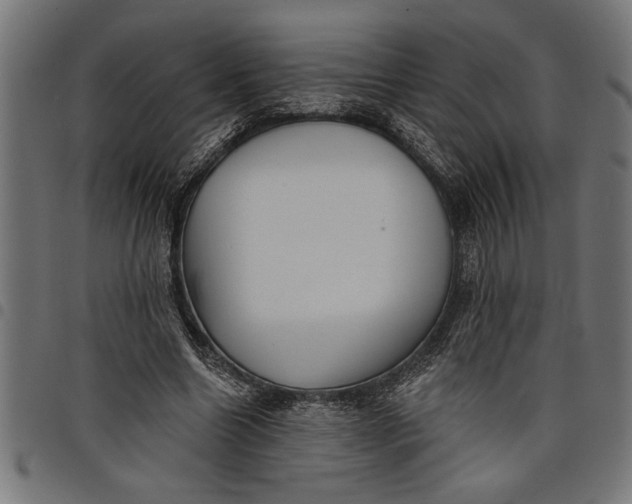 X0000097870538200803281203
