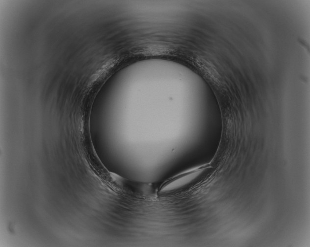X0000097870539200803281203
