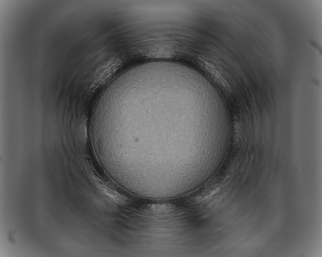 X0000097870541200803281203