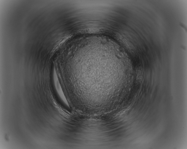 X0000097870542200803281203
