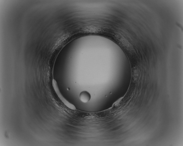 X0000097870544200803281204