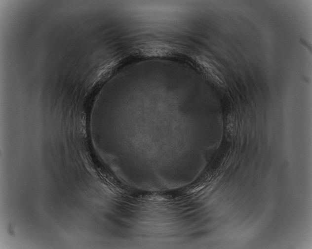 X0000097870547200803281204