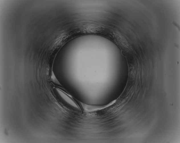X0000097870548200803281204