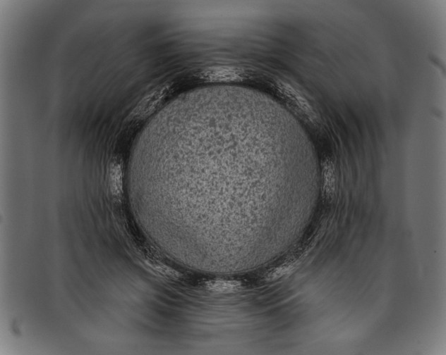 X0000097870549200803281204