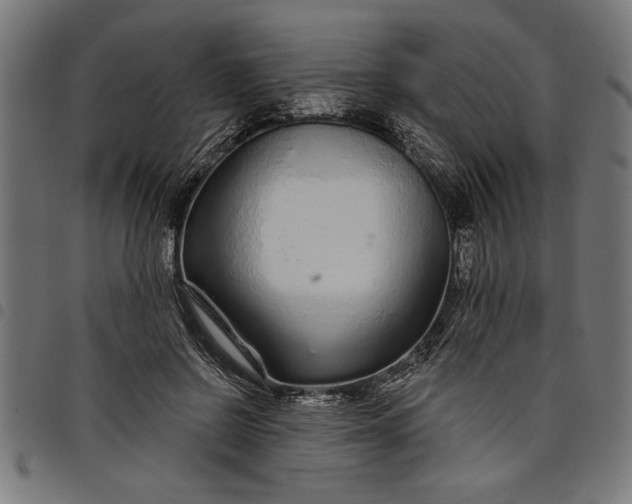 X0000097870550200803281204