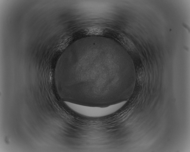X0000097870551200803281204