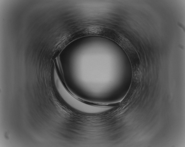 X0000097870552200803281204