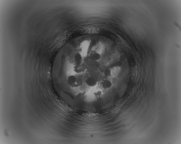 X0000097870553200803281204