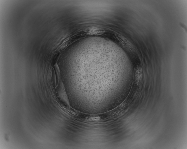 X0000097870554200803281204
