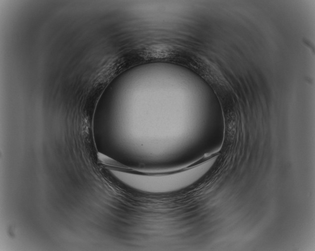 X0000097870555200803281204