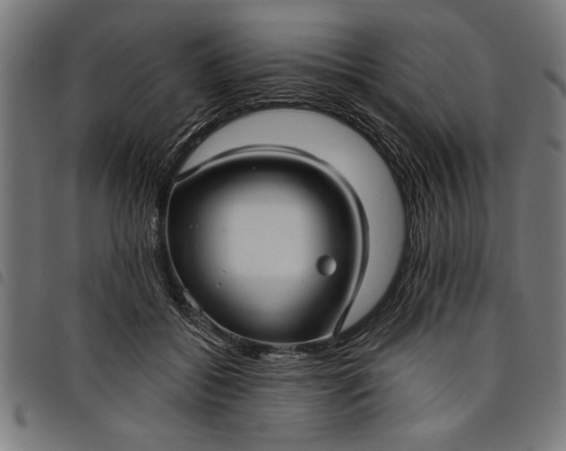 X0000097870556200803281204