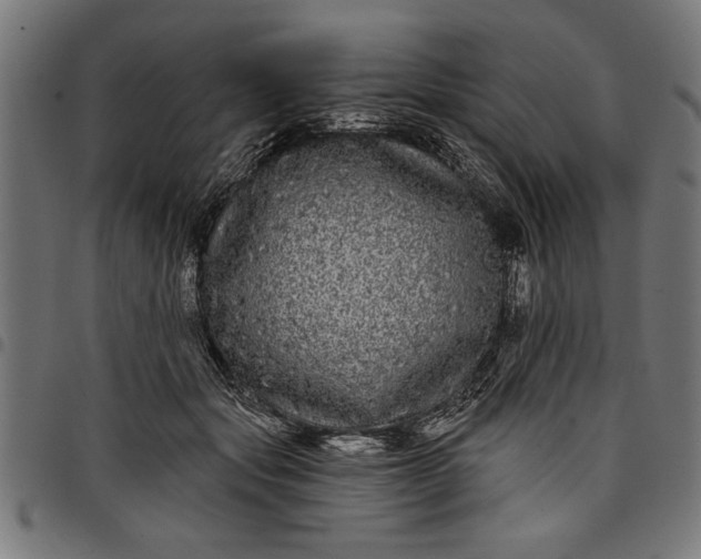 X0000097870557200803281204