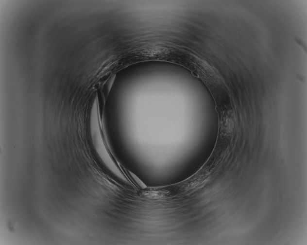 X0000097870558200803281204