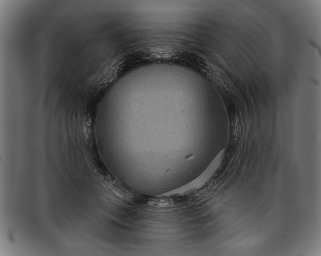 X0000097870559200803281204