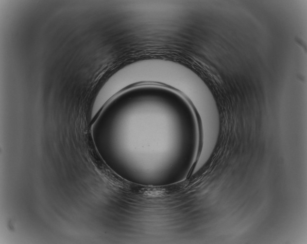 X0000097870560200803281204