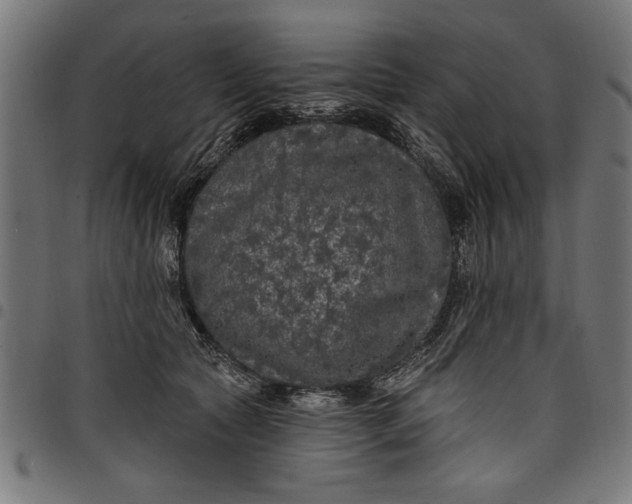 X0000097870561200803281204