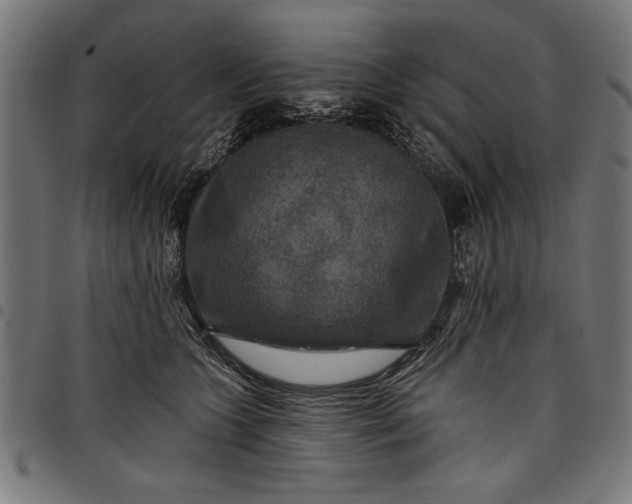 X0000097870563200803281204
