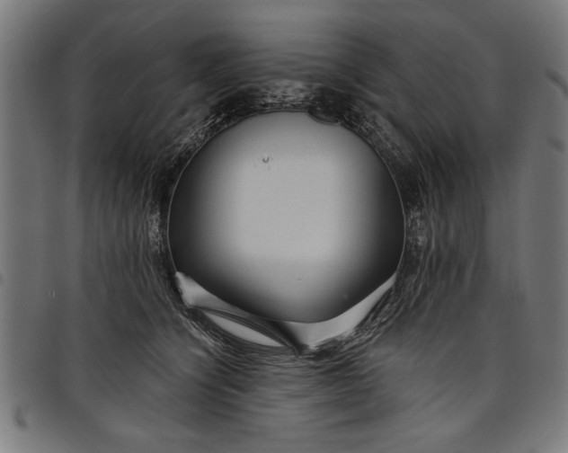 X0000097870564200803281204