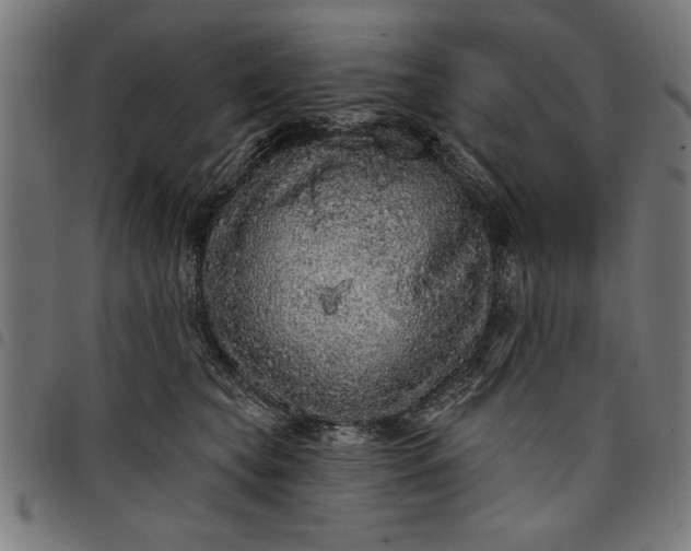 X0000097870565200803281204