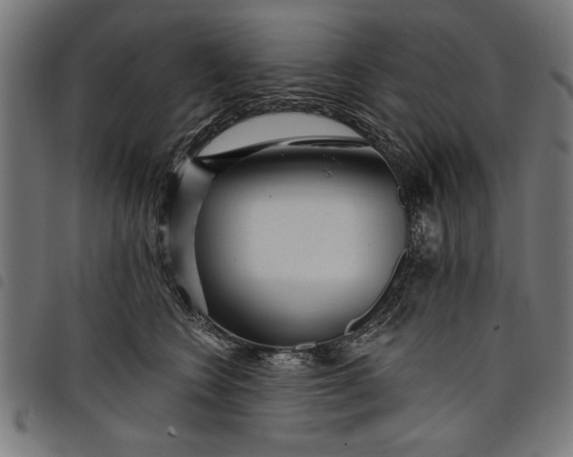 X0000097870566200803281204