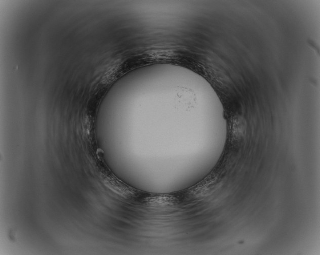 X0000097870567200803281204