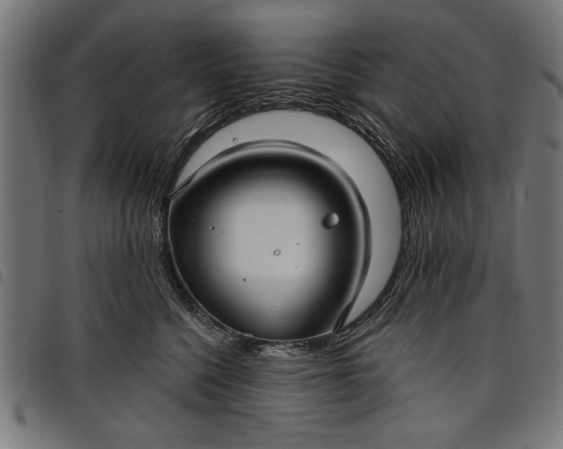 X0000097870568200803281204