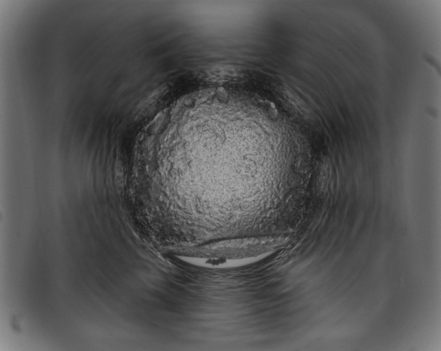 X0000097870569200803281204