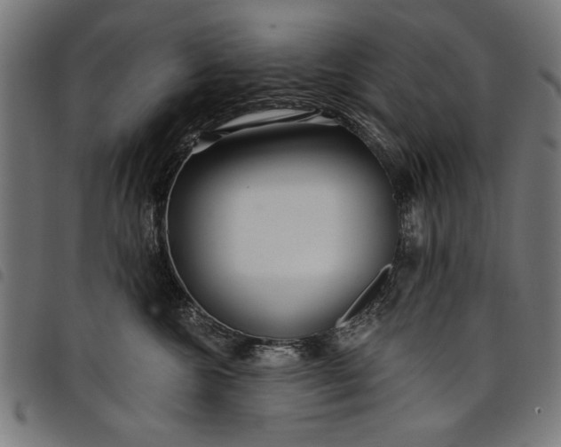 X0000097870572200803281204