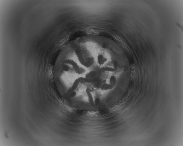 X0000097870573200803281204
