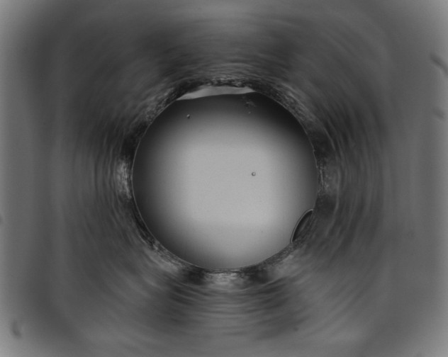 X0000097870575200803281204