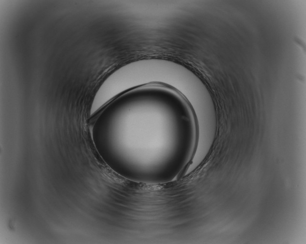 X0000097870576200803281204
