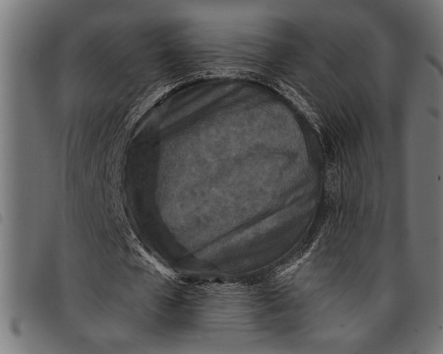 X0000097870577200803281203