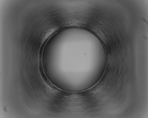 X0000097870578200803281203