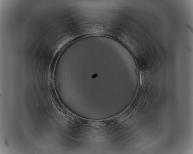 X0000097870579200803281203
