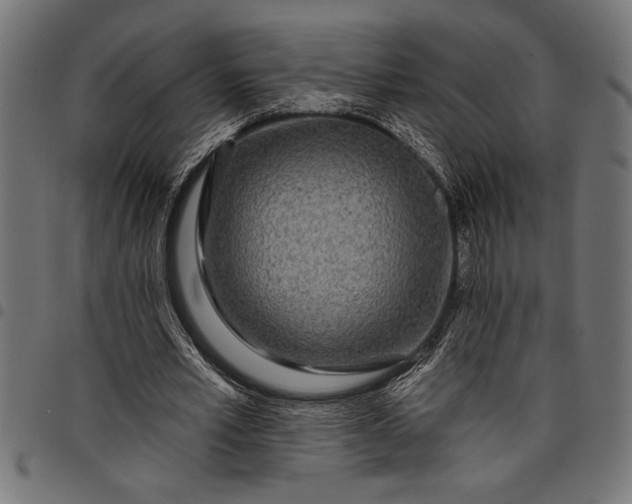 X0000097870581200803281203