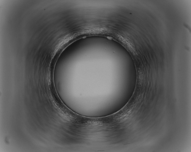 X0000097870582200803281203