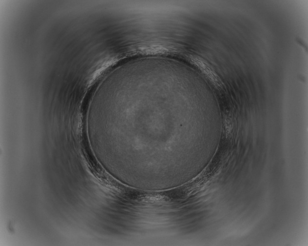 X0000097870583200803281203