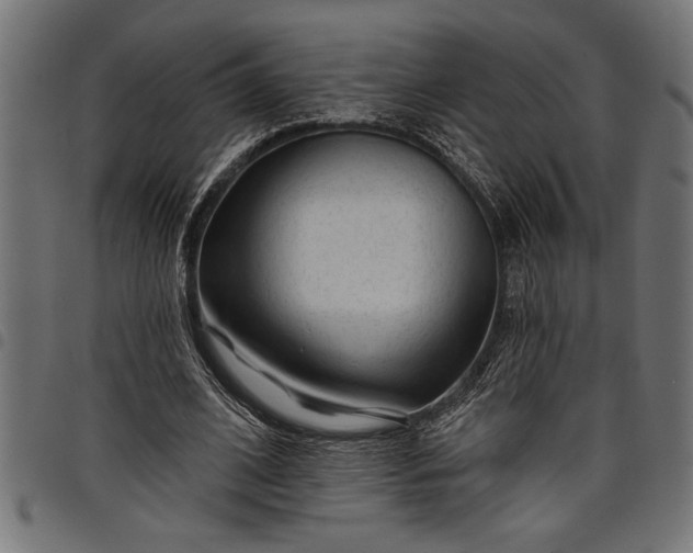 X0000097870584200803281203