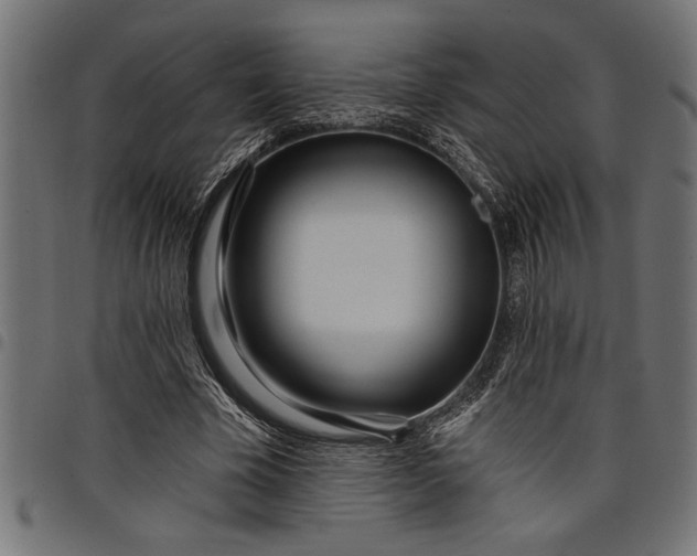 X0000097870585200803281203