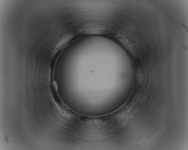 X0000097870586200803281203