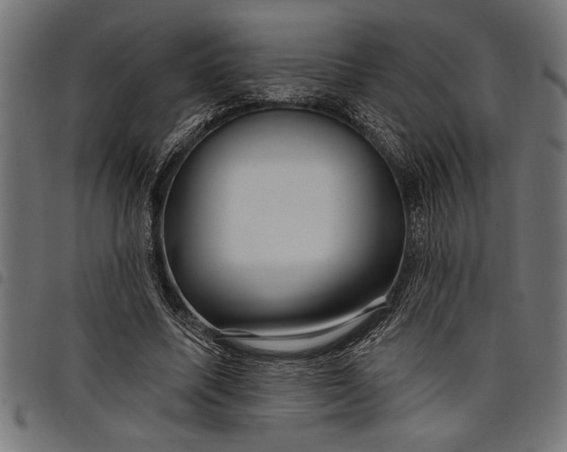 X0000097870587200803281203