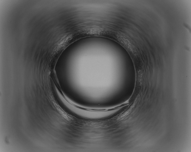 X0000097870589200803281203