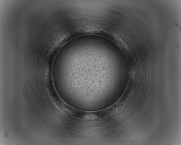 X0000097870591200803281203