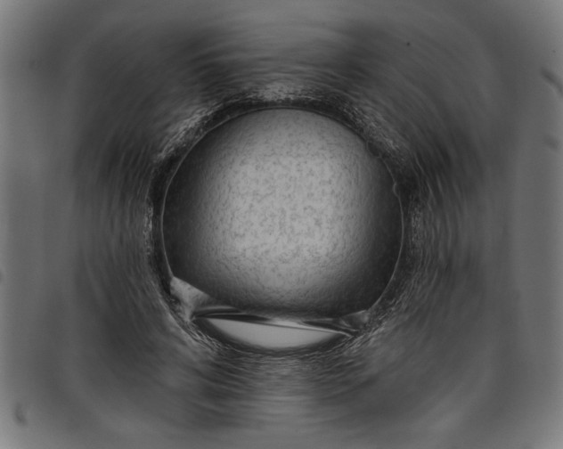 X0000097870592200803281203