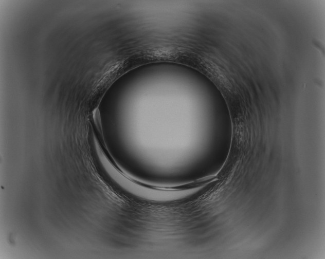 X0000097870593200803281203